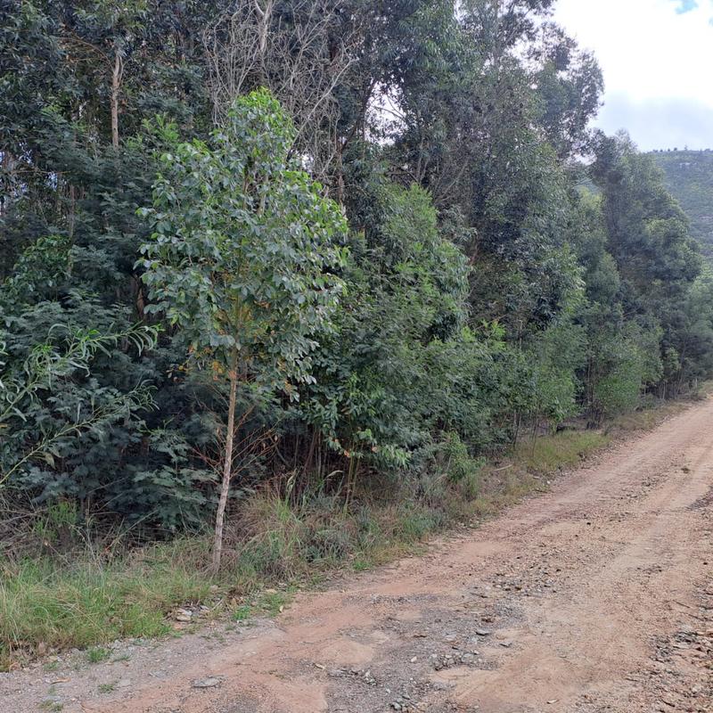 0 Bedroom Property for Sale in Van Stadens Eastern Cape